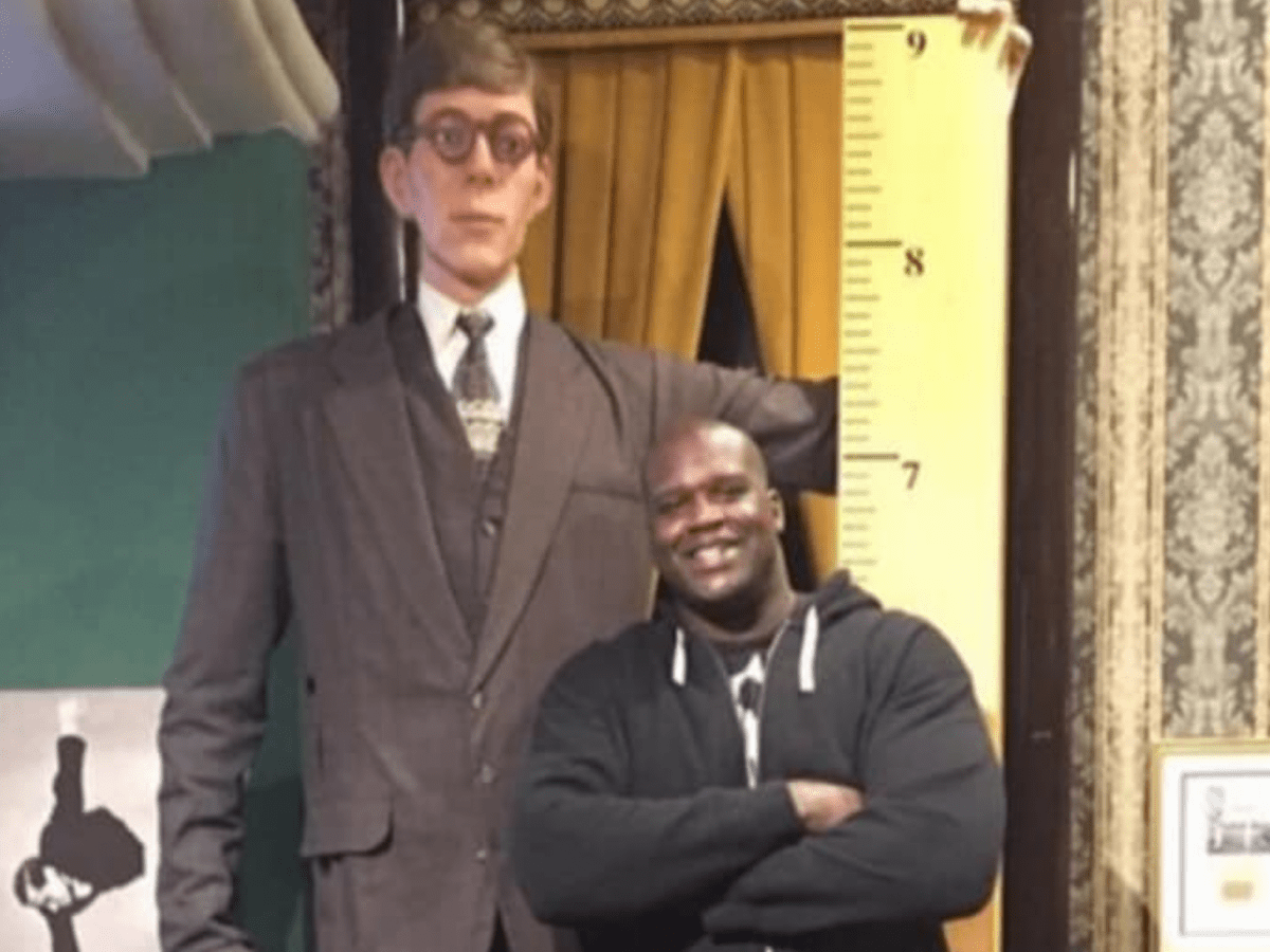 Shaq Height Comparison