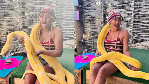 Ayesha Curry Posted A Pic With A Huge Snake Around Her: "Bucket List"