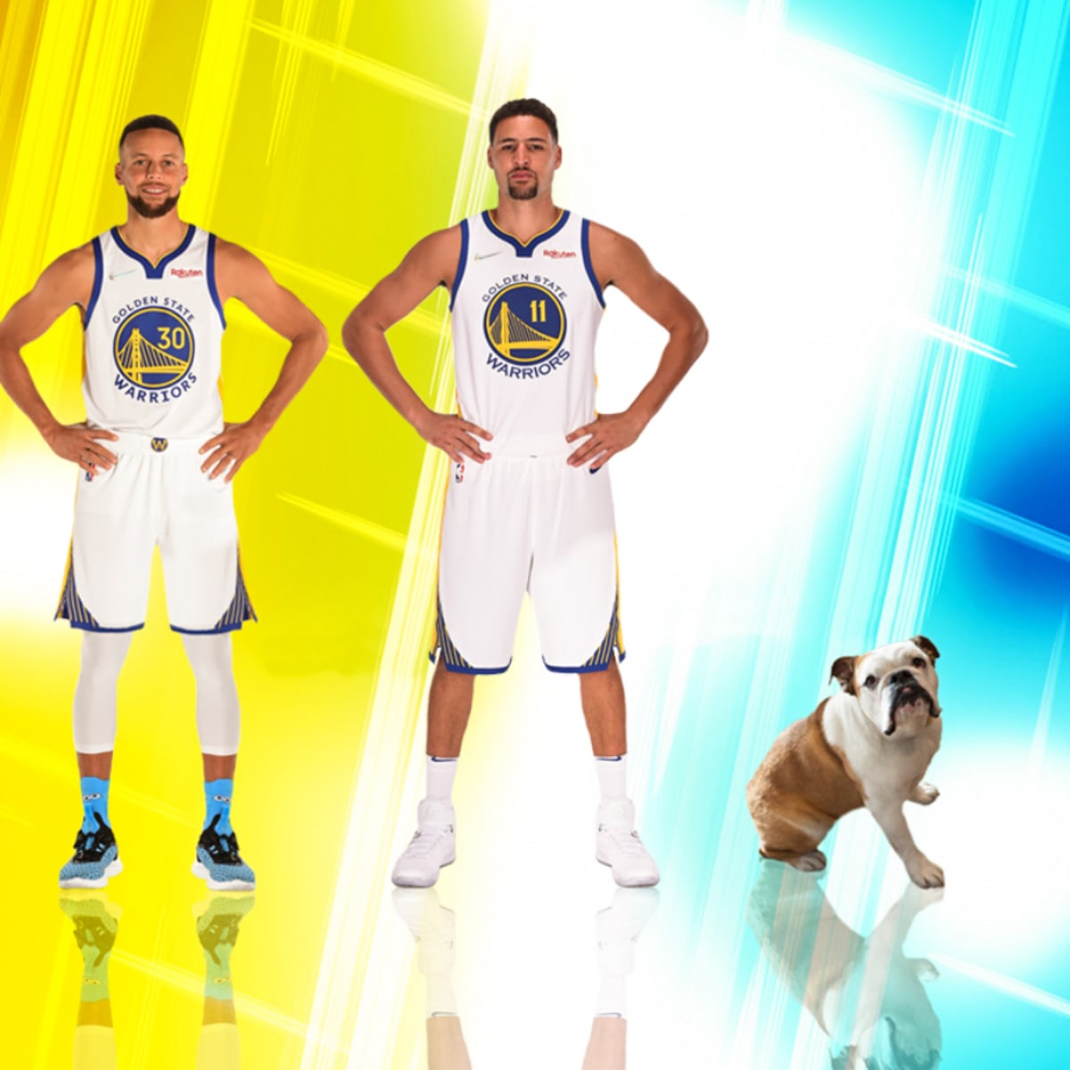 From as Obvious as His Dog Rocco To as Bizarre as His Socks, Here Are 10  Essentials Klay Thompson Cant Live Without
