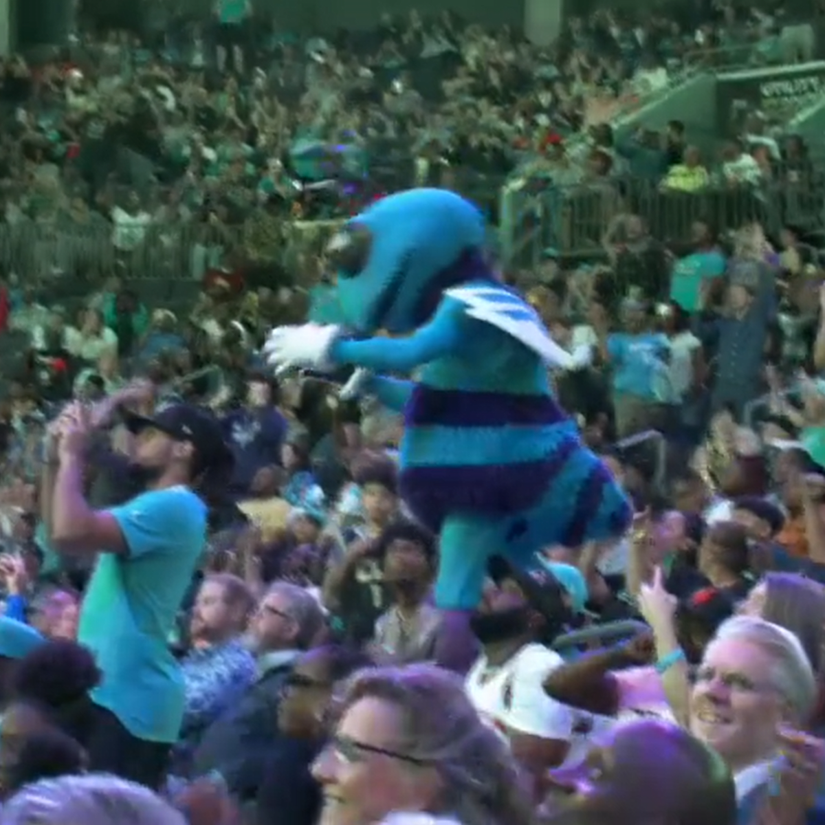 Hugo the Hornet is not happy with the pick : r/nba