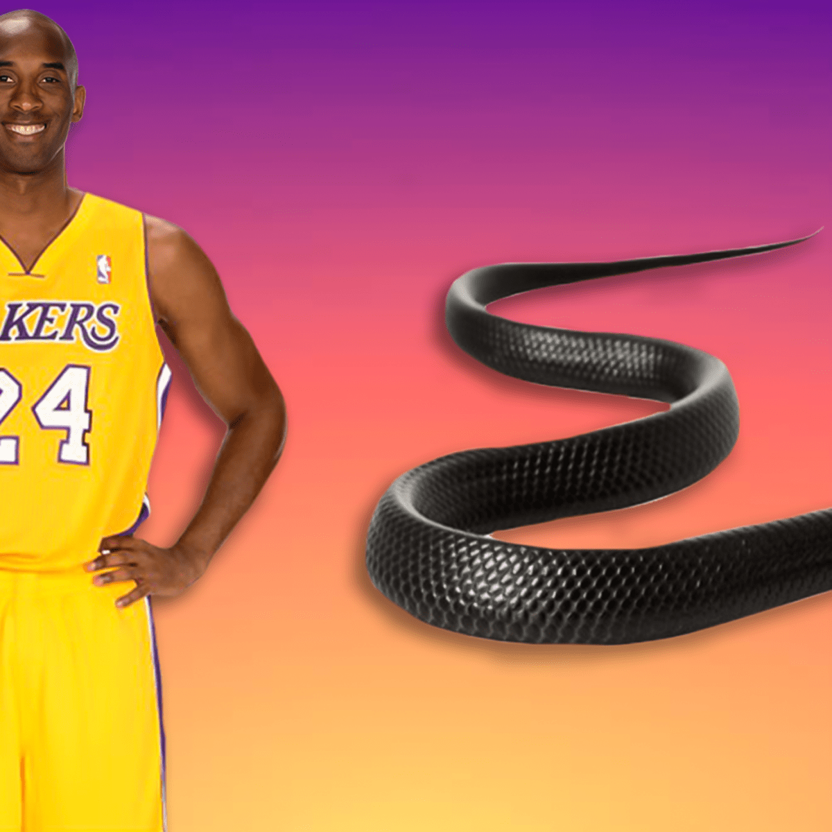 Black Mamba: Why Kobe Bryant gave himself the nickname