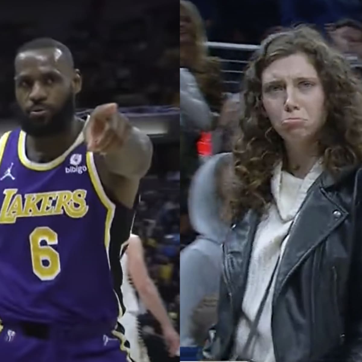 The Lady Who LeBron James Had Ejected Reportedly Made A Shocking