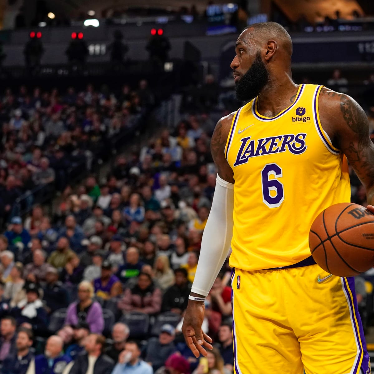 Lebron james with lakers online