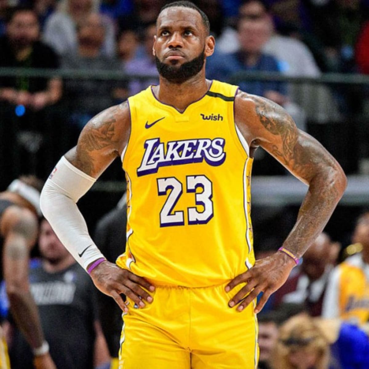 Lebron mj shoes store