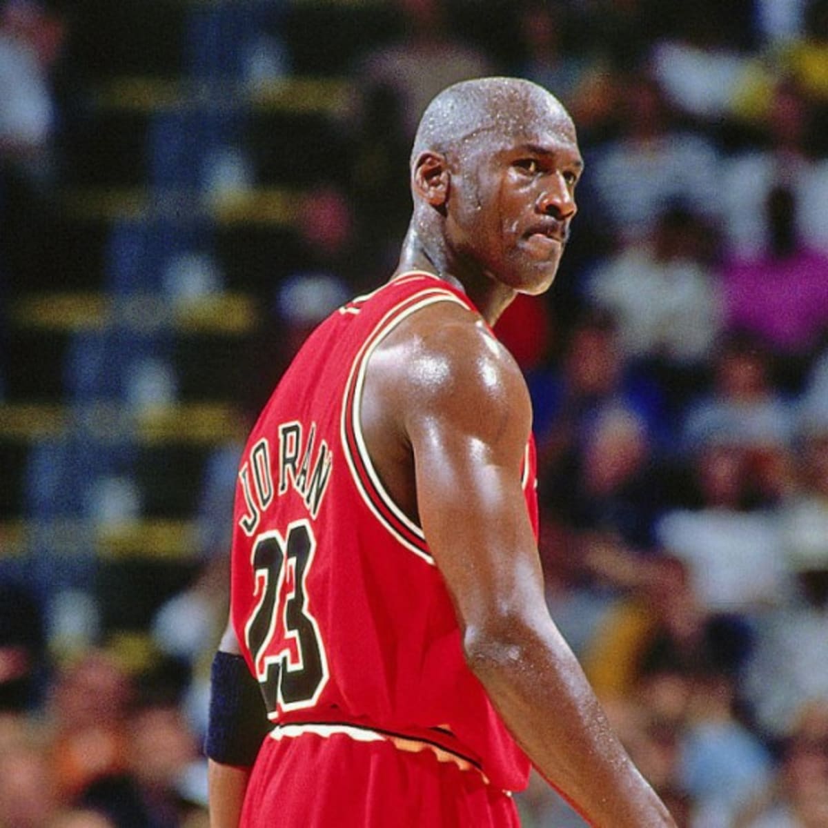 Scott burrell michael jordan on sale