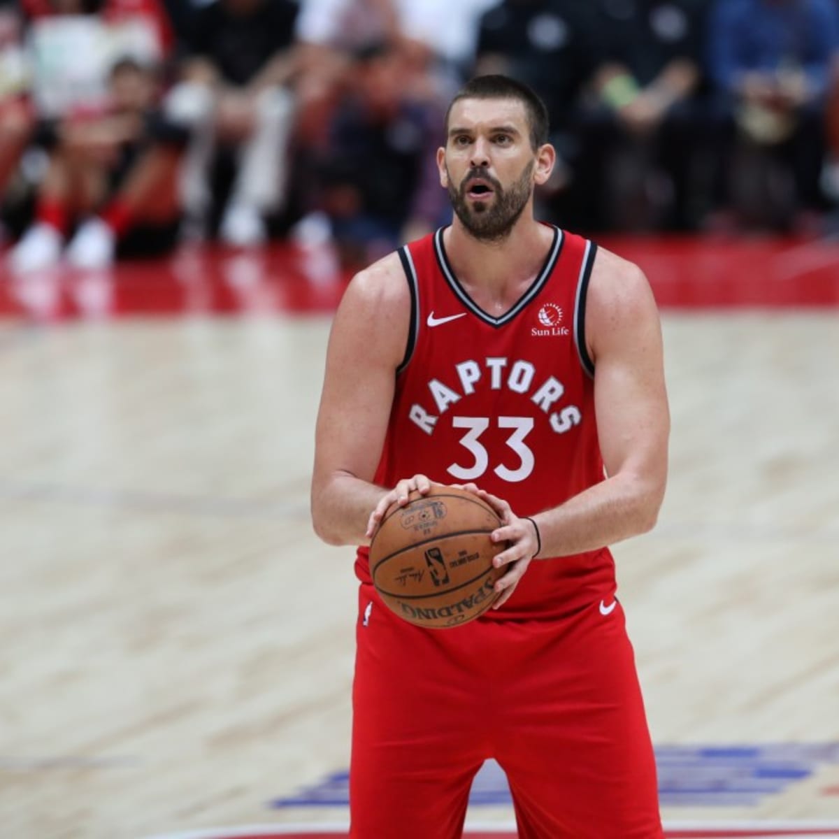 Marc gasol raptors jersey store