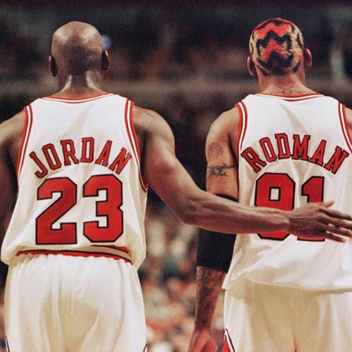 Jordan rodman sale