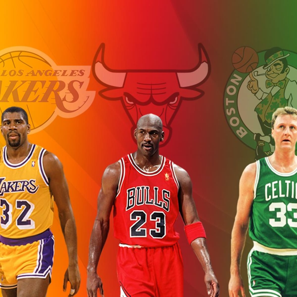 Larry bird hotsell and michael jordan