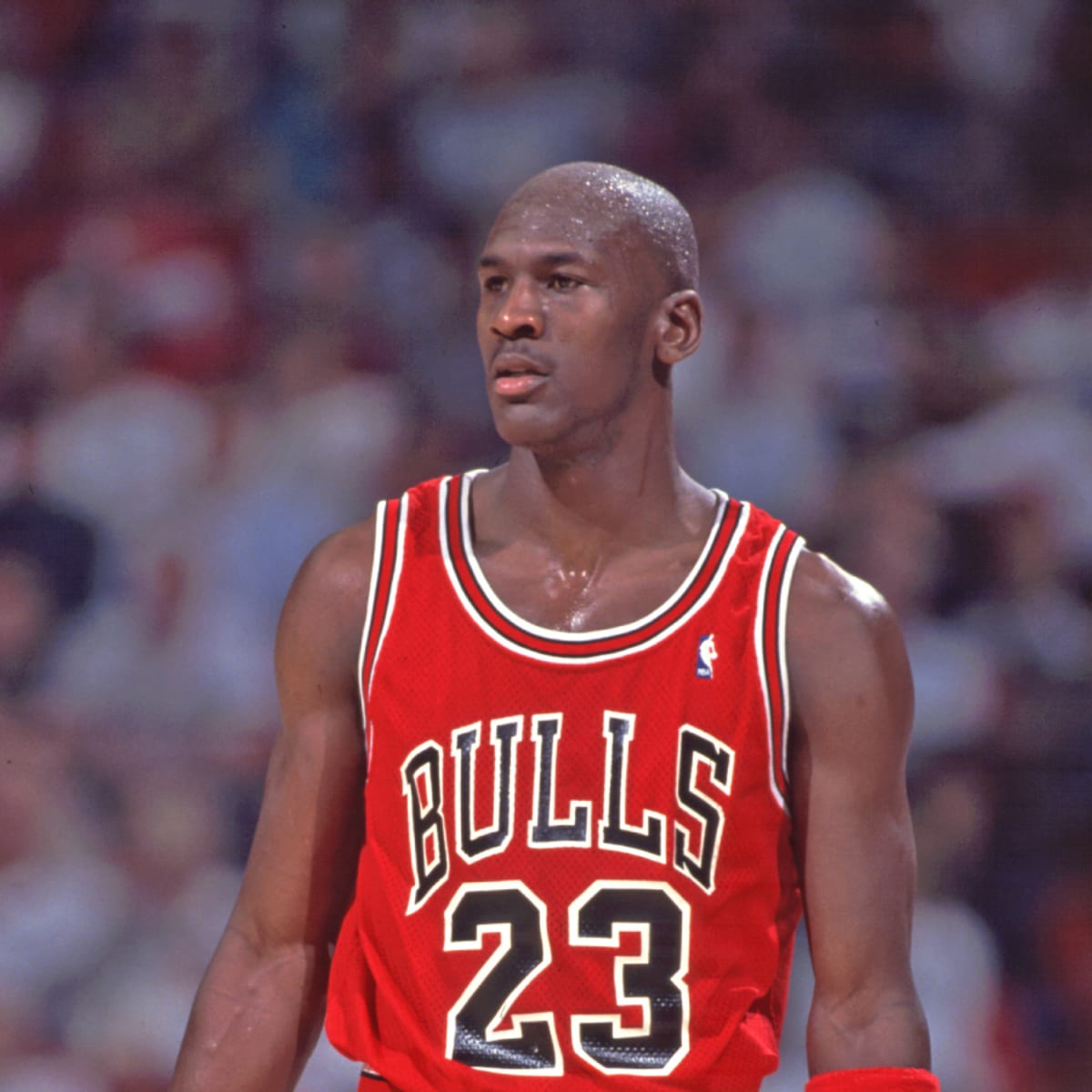 Michael jordan jeff outlet van gundy
