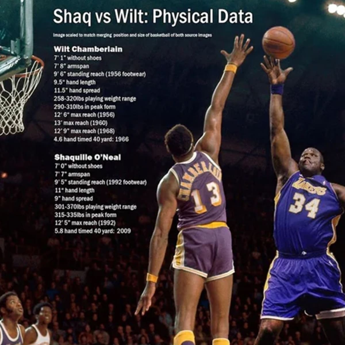 Shaq's size discount