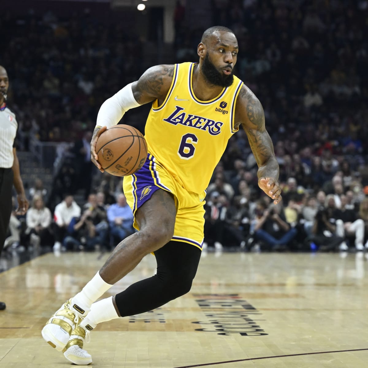 Lebron james 2024 bo jackson shoes