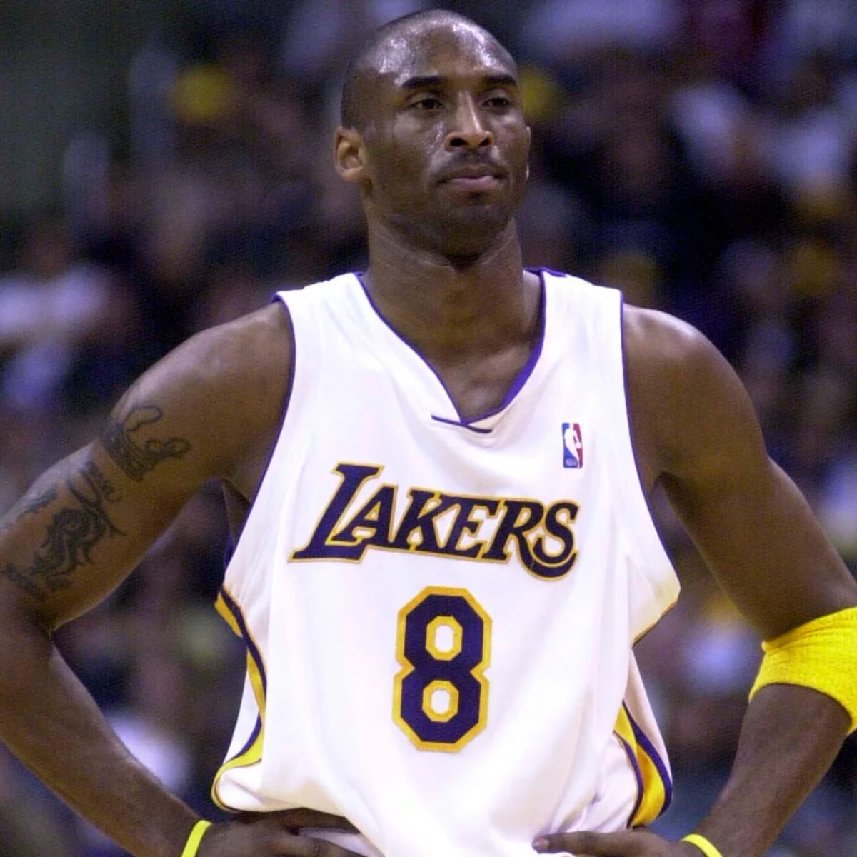 Lakers outlet 8 bryant