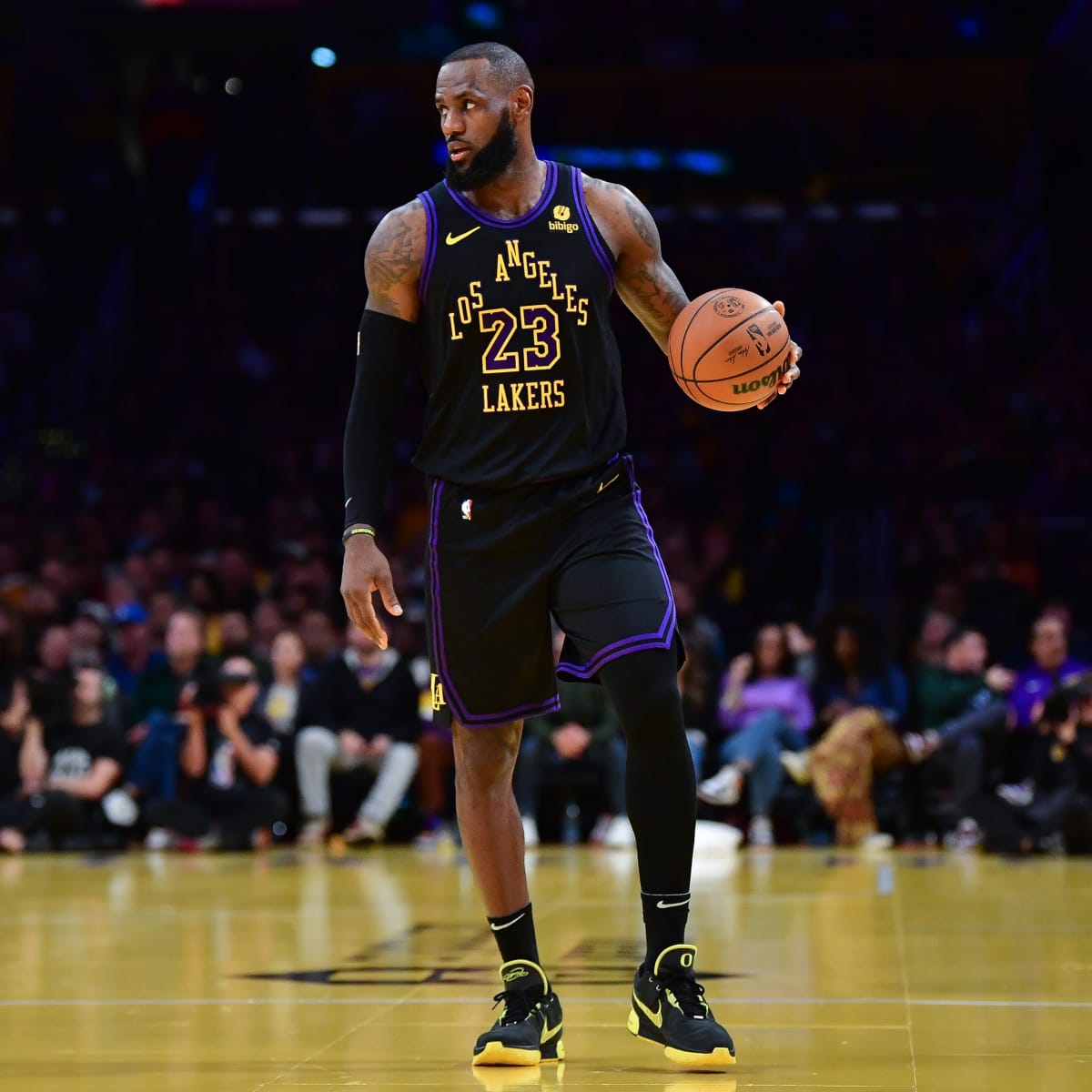 Lebron james 2024 basketball hoop