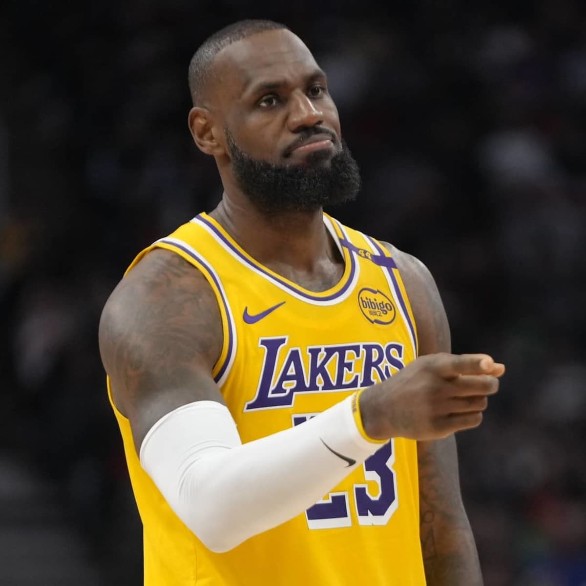 Lebron james angeles lakers hot sale