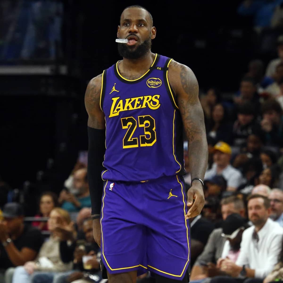 PSA 9 Mint 】 Lebron James 2019-20 Crearly Donruss レブロン ジェームス レイカーズ Lakers  Panini NBA｜スポーツ