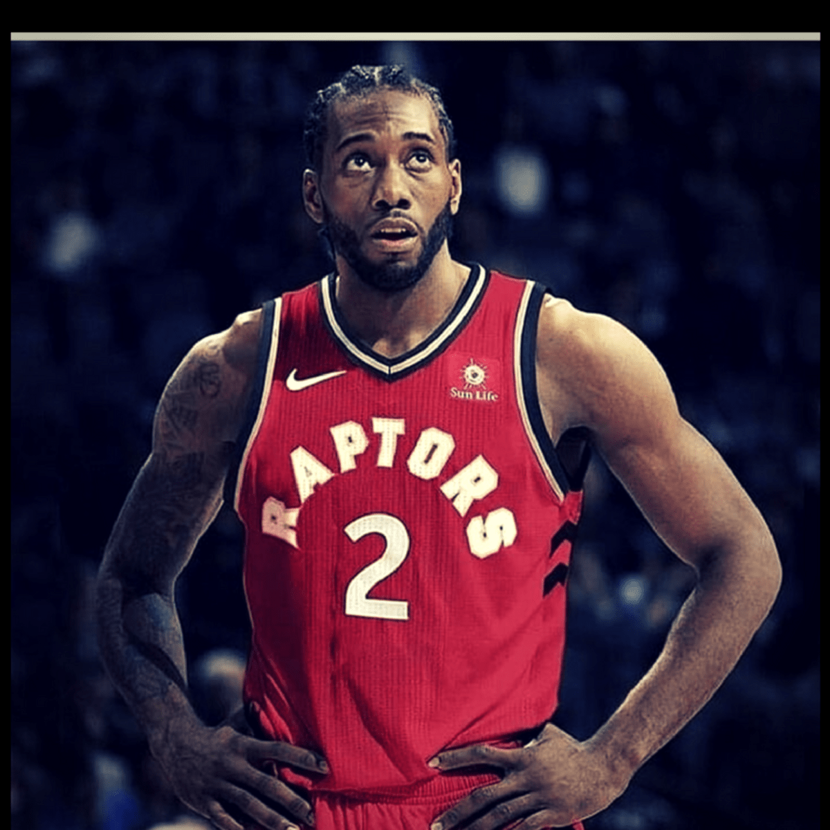 Raptors news kawhi store