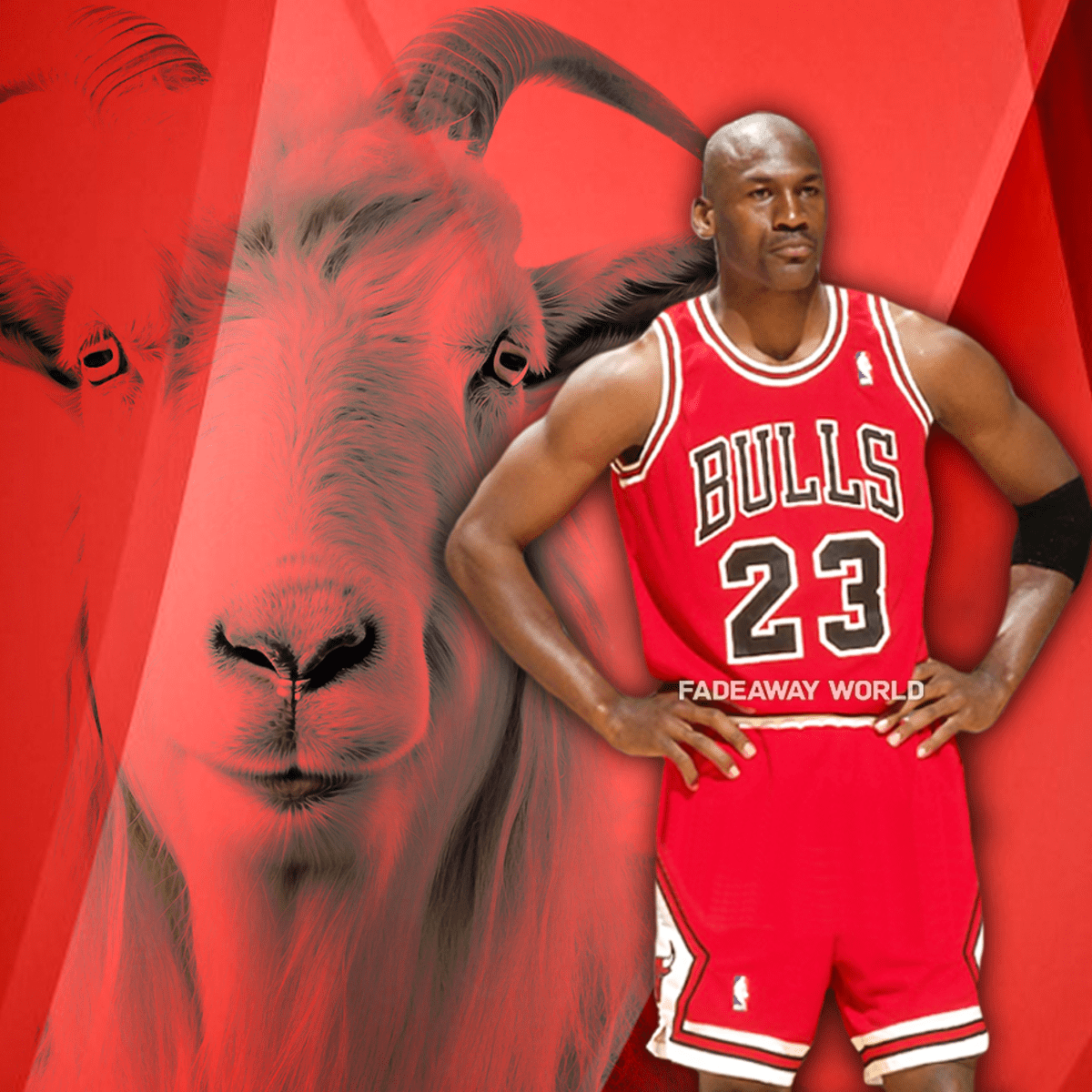 Michael jordan toni kukoc shop