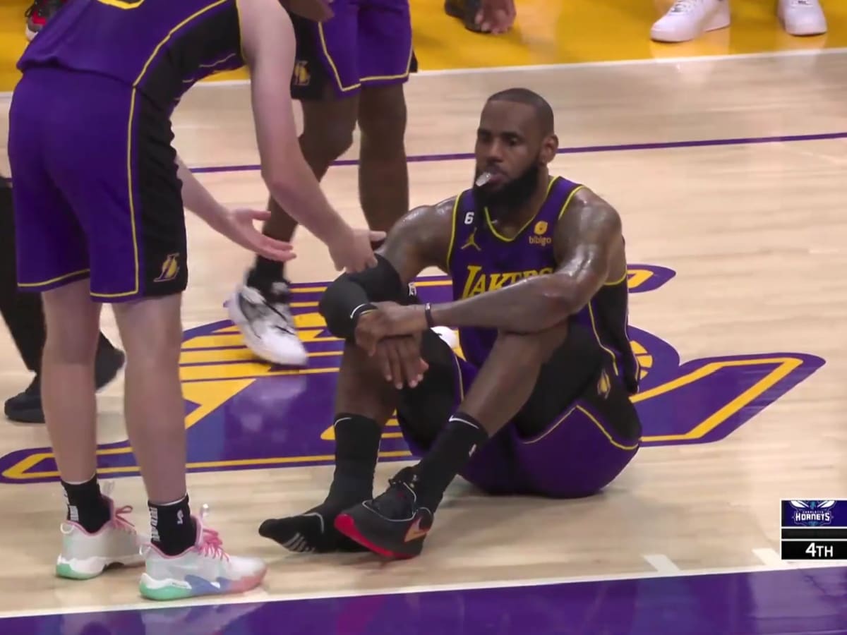 Lebron james charlotte hornets shoes hotsell
