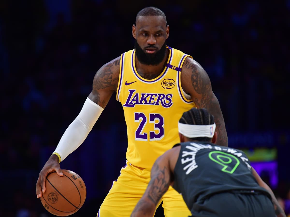 LeBron James Takes Wild Shot At Lakers Over Lack Of Centers