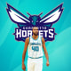 Rudy Gobert - Charlotte Hornets