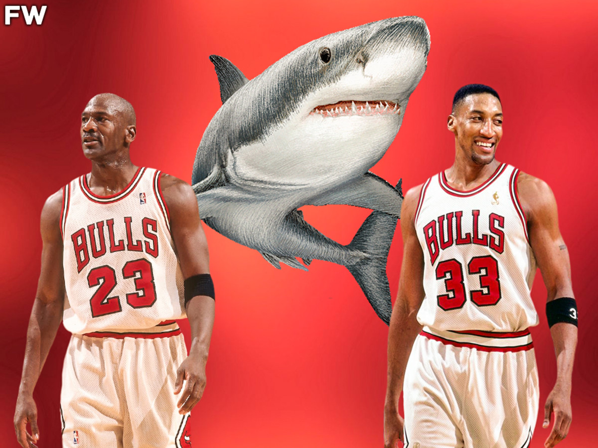 Bulls Writer Says Michael Jordan Was A Shark And He Knew Scottie Pippen Wanted To Be Equal To Him: "And then Pippen would go sort of crawling back to Horace Grant and the guys because he wasn’t accepted like he wanted to be."