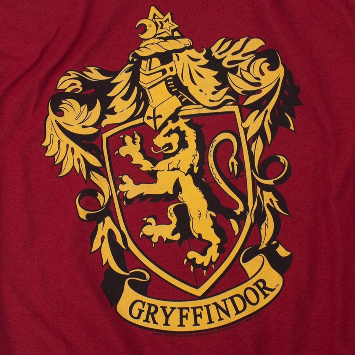 Game Everyone Wants To Watch: Slytherin House vs. Gryffindor House ...