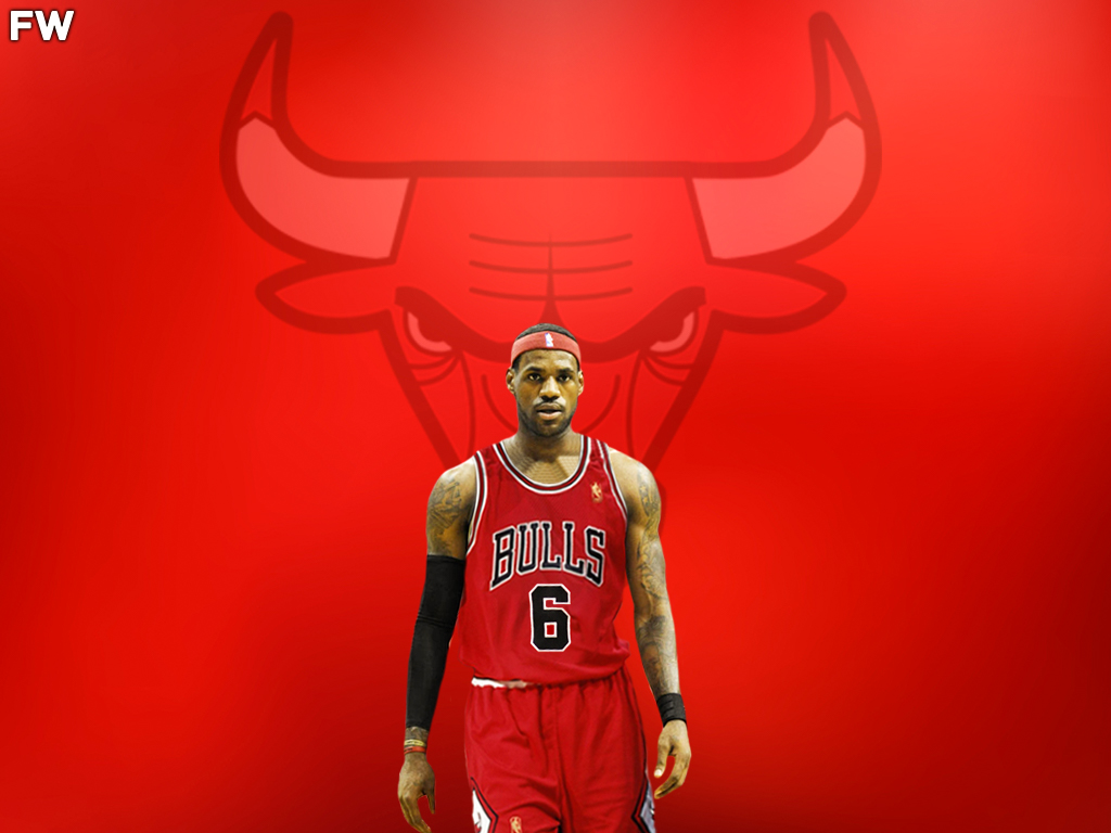 LeBron James Chicago Bulls