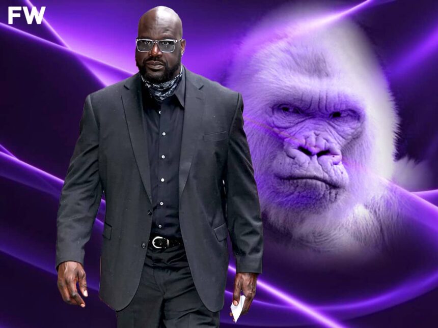 Shaquille O'Neal Shows Scary Reaction When Gorillas See Him In The Zoo