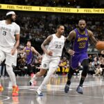 LeBron James Mavericks