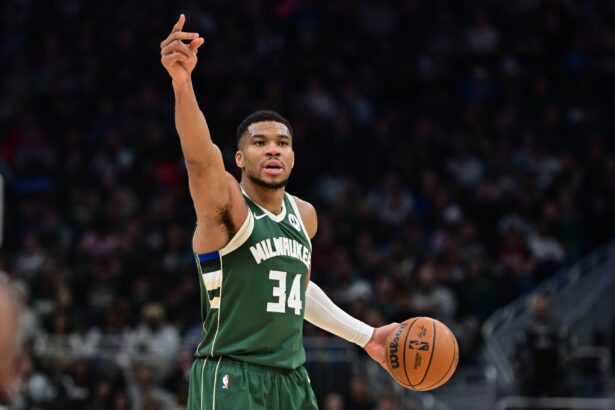 Jan 23, 2025; Milwaukee, Wisconsin, USA; Milwaukee Bucks forward Giannis Antetokounmpo (34) reacts in the third quarter against the Miami Heat at Fiserv Forum. Mandatory Credit: Benny Sieu-Imagn Images