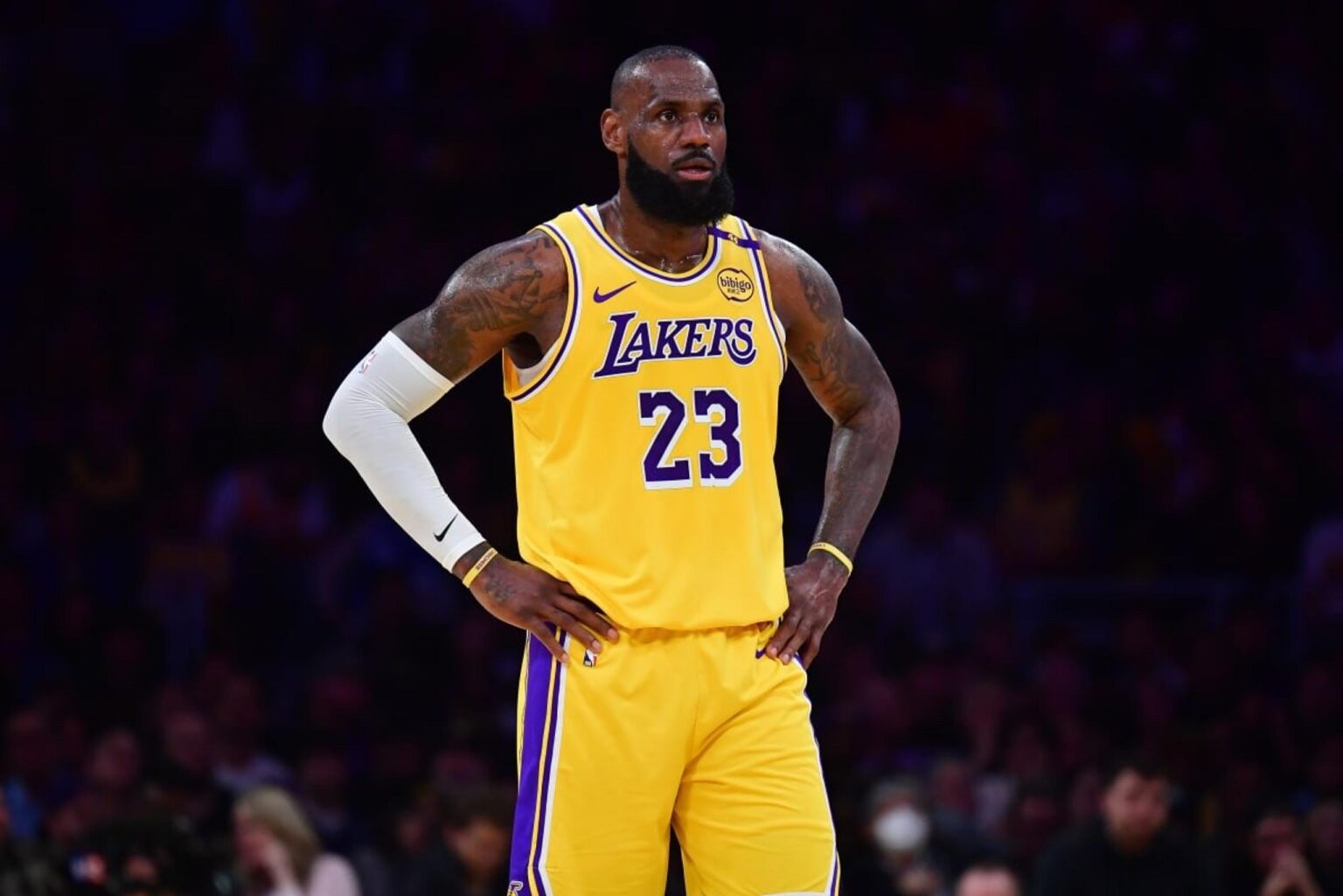 Apr 30, 2025; Los Angeles, California, USA; Los Angeles Lakers forward LeBron James (23) reacts during the first half in game five of first round for the 2025 NBA Playoffs at Crypto.com Arena. Mandatory Credit: Gary A. Vasquez-Imagn Images