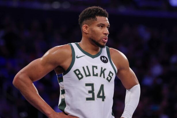New York, New York, USA; Milwaukee Bucks forward Giannis Antetokounmpo (34) looks back during the second half against the New York Knicks at Madison Square Garden. Mandatory Credit: Vincent Carchietta-Imagn Images