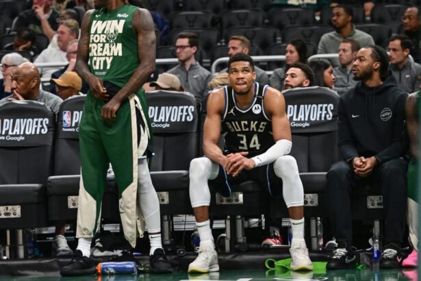 Apr 27, 2025; Milwaukee, Wisconsin, USA; Milwaukee Bucks forward Giannis Antetokounmpo (34) looks on in the final seconds of the game against the Indiana Pacers during game four of first round for the 2024 NBA Playoffs at Fiserv Forum. Mandatory Credit: Benny Sieu-Imagn Images